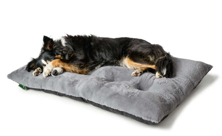 HUNTER Hundebett Rockford